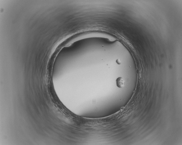 X0000078240724200611251238