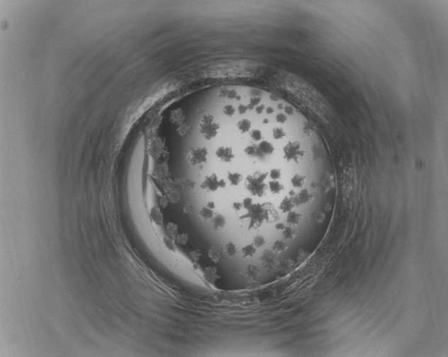 X0000078240727200611251238