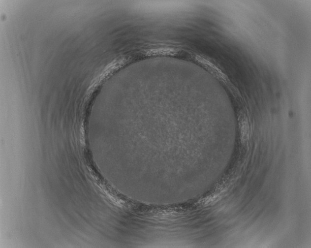 X0000078240729200611251238