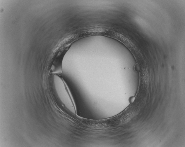 X0000078240731200611251238