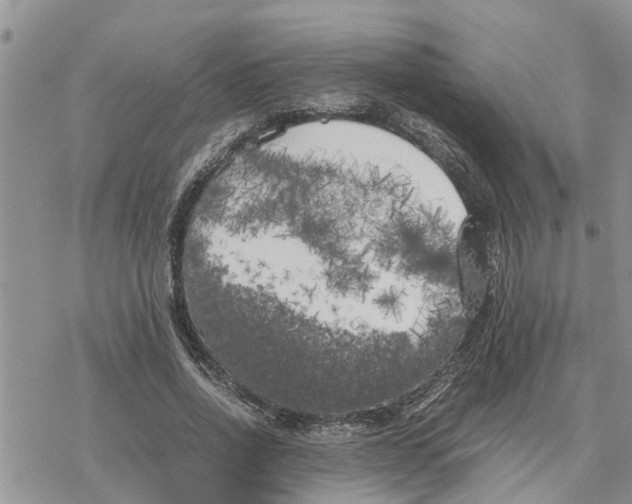 X0000078240734200611251238