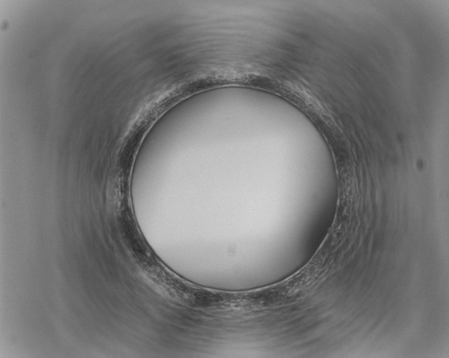 X0000078240736200611251238