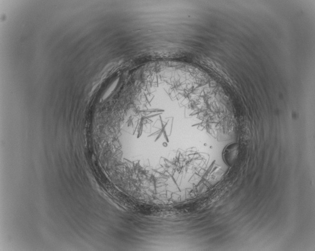 X0000078240738200611251238