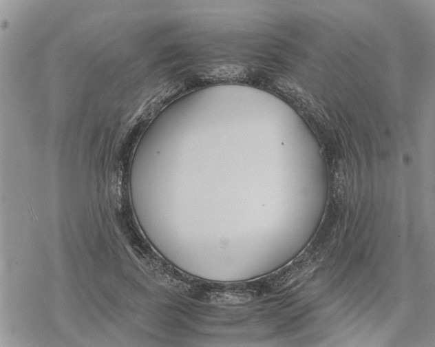 X0000078240739200611251238