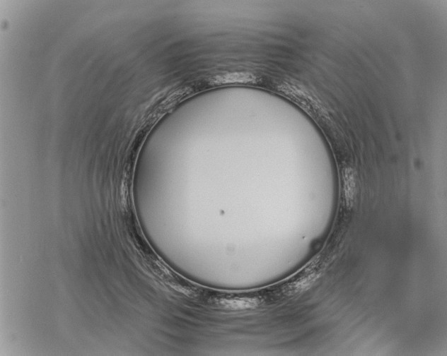 X0000078240741200611251238