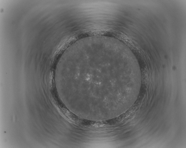 X0000078240742200611251238