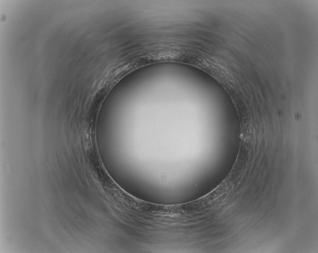 X0000078240743200611251238