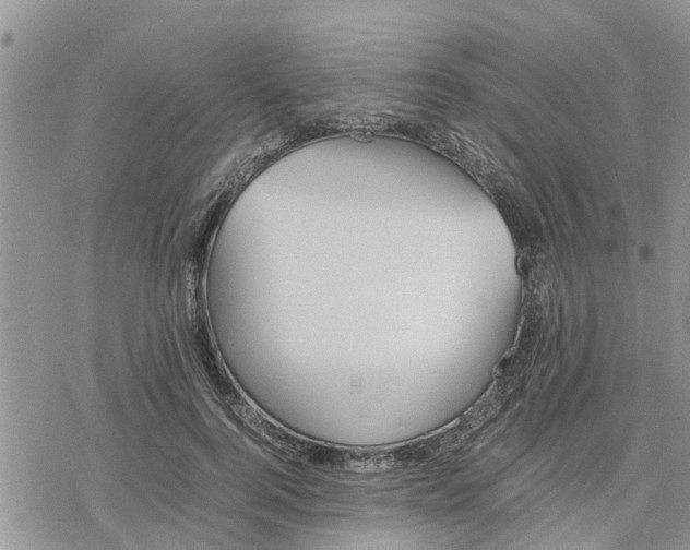 X0000078240744200611251238