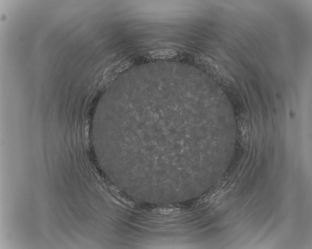 X0000078240745200611251238