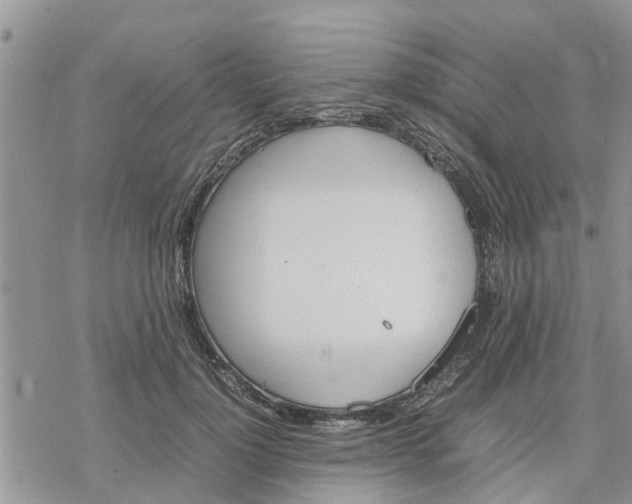 X0000078240748200611251238