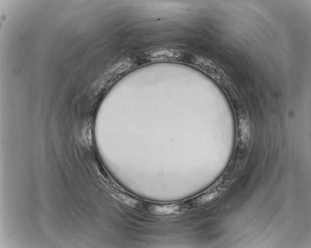 X0000078240753200611251238