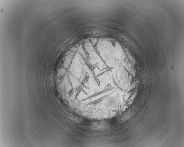 X0000078240757200611251238