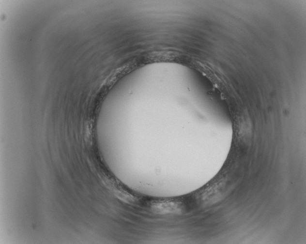 X0000078240759200611251238