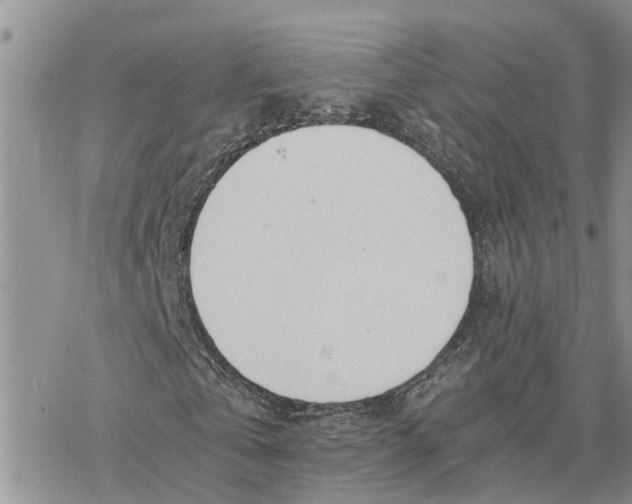 X0000078240769200611251238