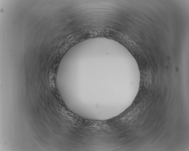 X0000078240770200611251238