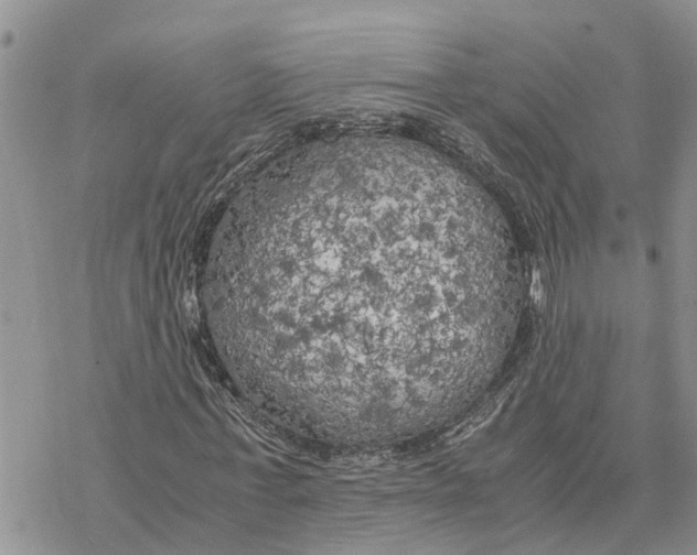 X0000078240771200611251238