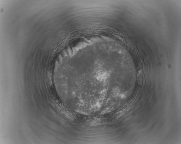 X0000078240772200611251238