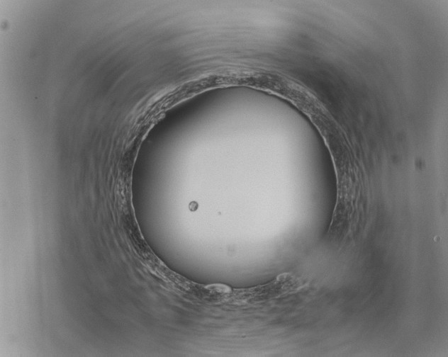 X0000078240773200611251238