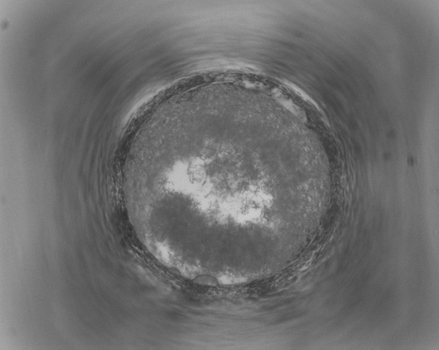 X0000078240775200611251238