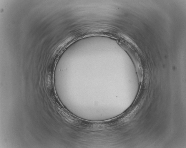 X0000078240777200611251238