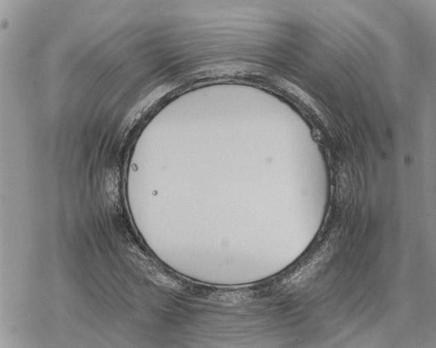 X0000078240778200611251238