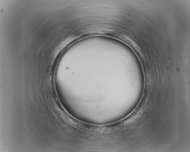 X0000078240779200611251238