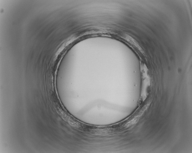 X0000078240781200611251238