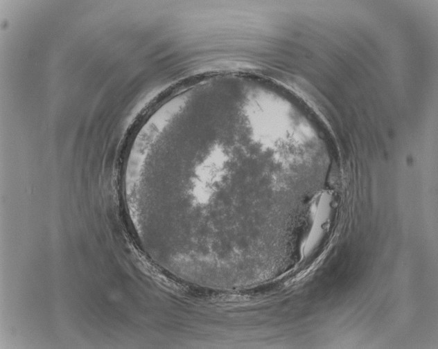 X0000078240783200611251238