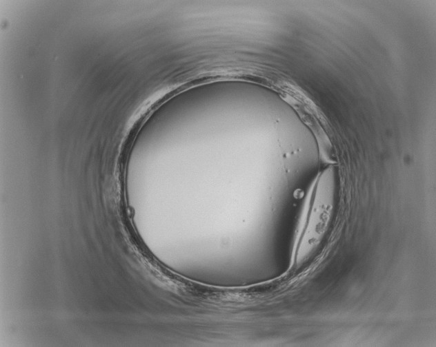 X0000078240787200611251238