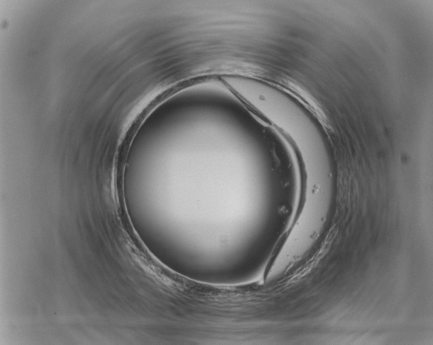 X0000078240788200611251238