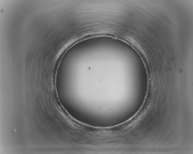 X0000078240789200611251238