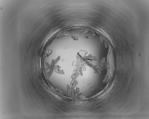 X0000078240790200611251237