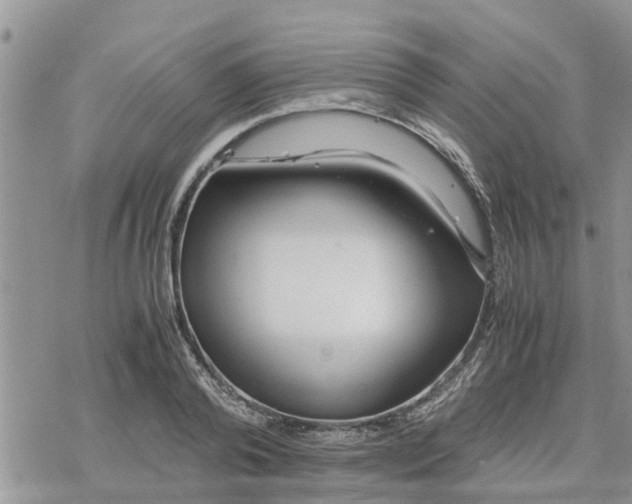 X0000078240792200611251237