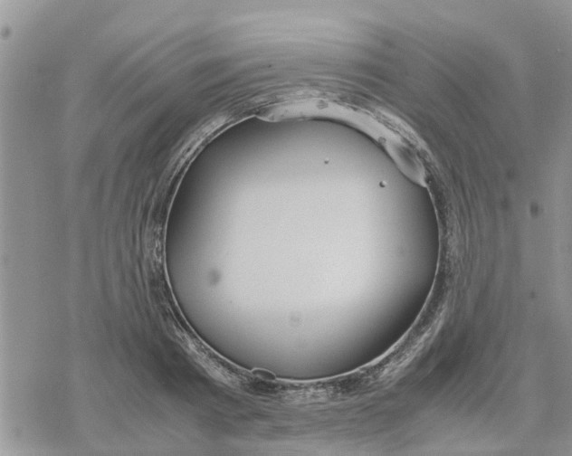 X0000078240793200611251237