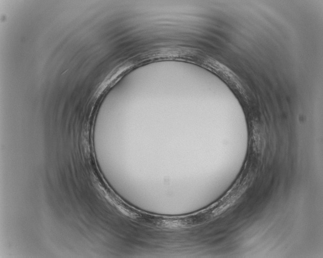 X0000078240794200611251237