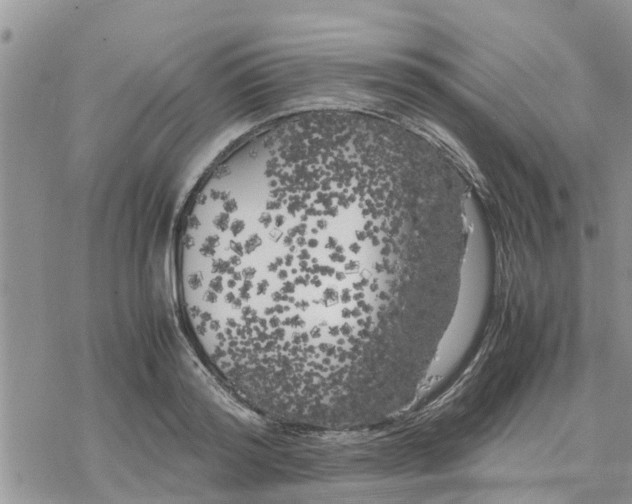 X0000078240796200611251237