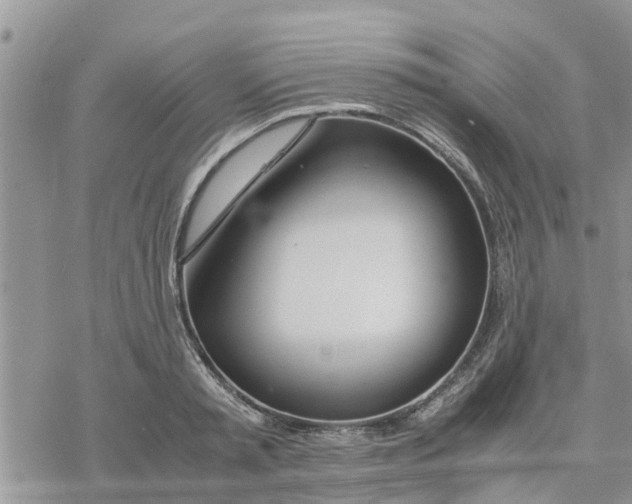 X0000078240797200611251237