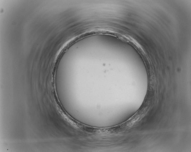 X0000078240799200611251237