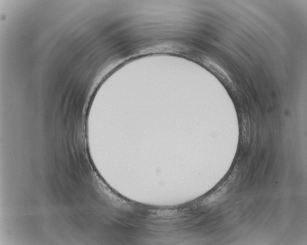 X0000078240800200611251237