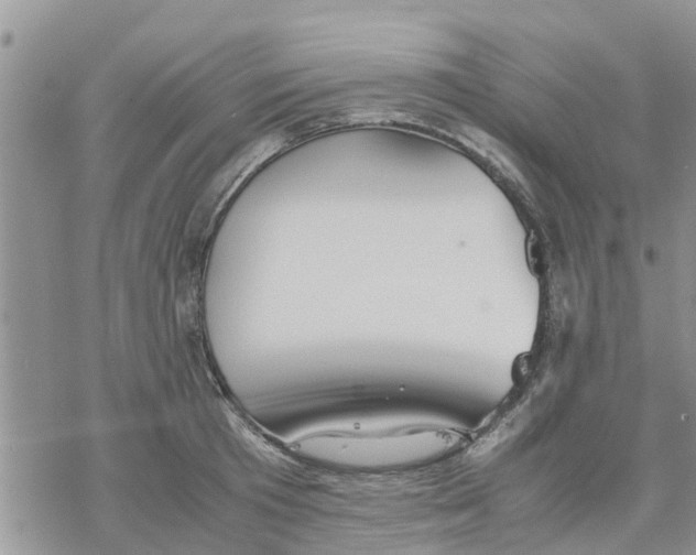 X0000078240801200611251237