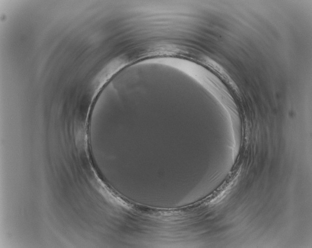 X0000078240802200611251237