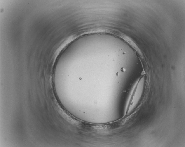 X0000078240805200611251237