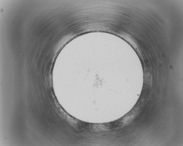 X0000078240807200611251237