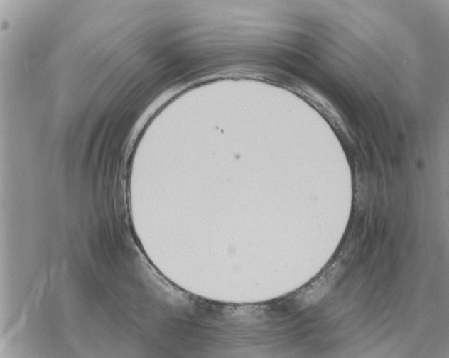 X0000078240808200611251237