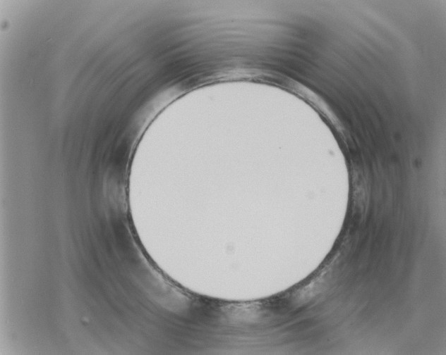 X0000078240810200611251237