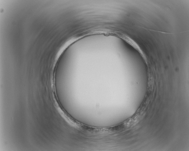 X0000078240811200611251237