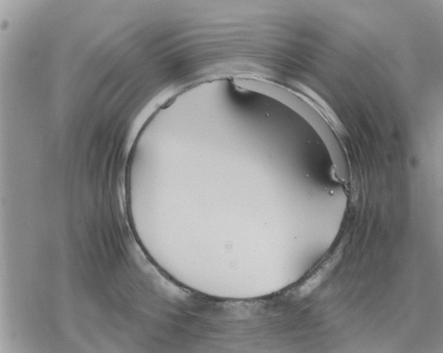 X0000078240812200611251237