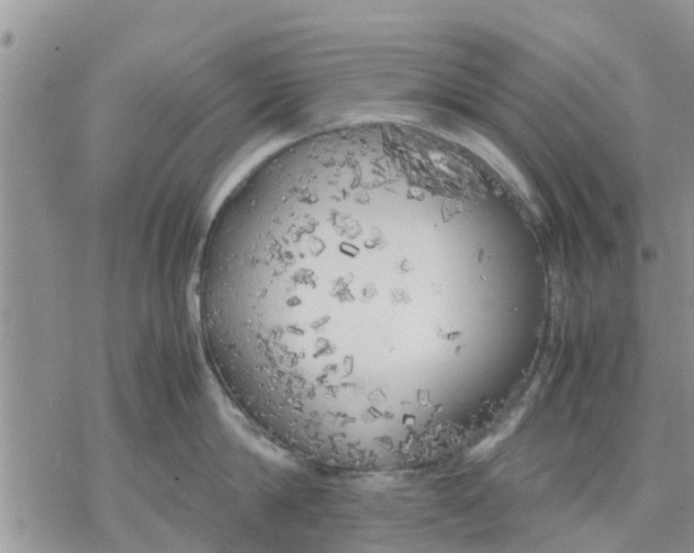 X0000078240814200611251237