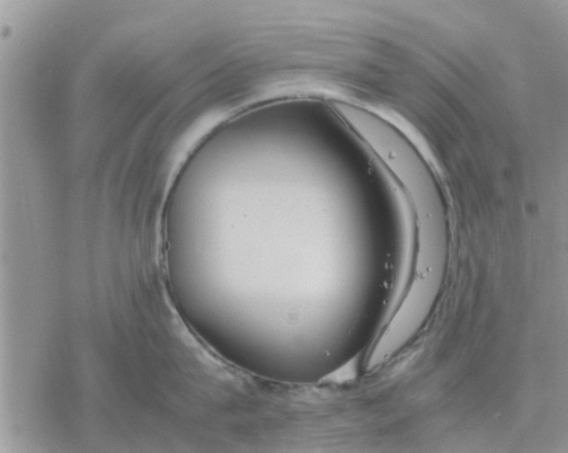 X0000078240815200611251237