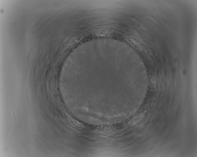 X0000078240817200611251236